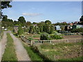 Walkford, allotments