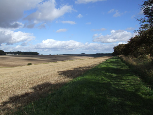 The Wolds Way