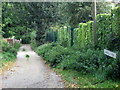 Carfield Lane  with Public Footpath status  Sheffield