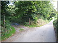 Quarry entrance at Rosecraddoc