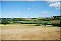 Looking towards Pewley Down from The North Downs Way