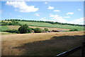 View to South Warren Farm