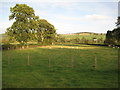 Farmland near Bishop