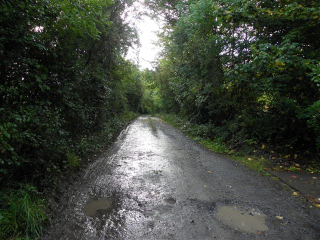 Lane, Rossylongan © Kenneth Allen :: Geograph Ireland