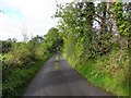 G8477 : Road at Drumgorman Barr by Kenneth  Allen