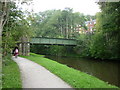 Walking along the Leeds to Liverpool Canal #182