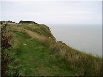 TR2538 : Cliff Path at Capel Court by Chris Heaton