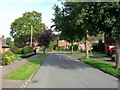 Tulip Tree Avenue, Kenilworth