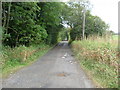 Track to Home Farm Auchry