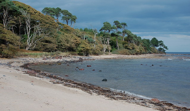 Beach and trees at Tyninghame