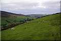 Hillside above Dovestones