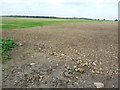 Stony field entrance