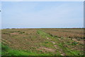 Footpath Across The Fields