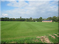 Sports Field from Cavendish Road