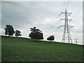 Trees and pylons north of Upper Morton