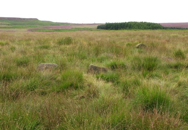 Stone Circle on Beeley Moor