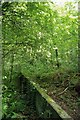 Thundersley Common Ruin