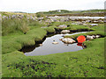 Salt marsh pool