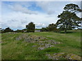 Rocky outcrop on Charlton Hill