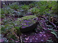 Unfinished millstone in Bracken Wood, Ilkley