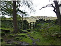 Gate from Bracken Wood on to Ilkley Moor