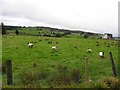 Crouck Townland