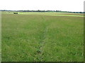 Footpath towards Brabourne Lees