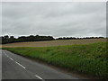 Calves Wood, Bar Wood and field of stubble