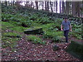 Unfinished millstone in Bracken Wood, Ilkley