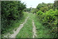 North Downs Way on Western Heights