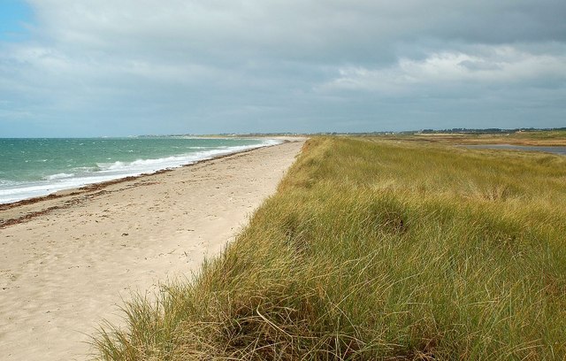 On the Sand Bar at Tacumshane Lake © Mary and Angus Hogg cc-by-sa/2.0 ...