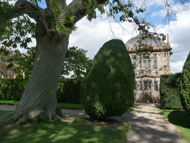 Garden of Montacute House © Chris Gunns :: Geograph Britain and Ireland