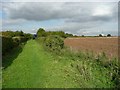 Bridleway, Offley