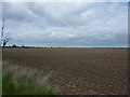 Ploughed field and a distant view of Lavenham Church