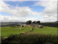 Farmstead off Lud Hill