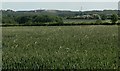 Farmland south of Loughborough