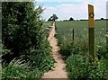 Footpath to Woodhouse