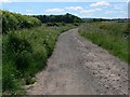 Track to Mucklin Wood