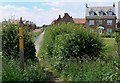 Footpath through the houses