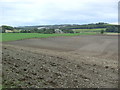 Farmland near Mahon