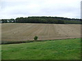 Farmland near Milnbank