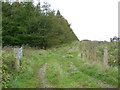 NJ6245 : Track beside woodland, Boghead Hill by JThomas