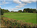 Radyr golf course