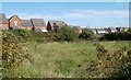 Waste ground between South Lake Drive  and Bronllys Grove, Coedkernew