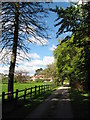 Lane to The Grange, near St. Bride