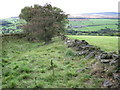 Footpath from Mossley Road towards Midhopestones