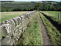 Footpath from Wind Hill Farm to Langley Brook