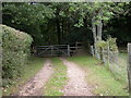 Hamptworth, stile and gate