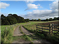 Farm road east from Park House