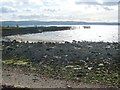 NS3081 : Old quay and piers at Craigendoran by Lairich Rig